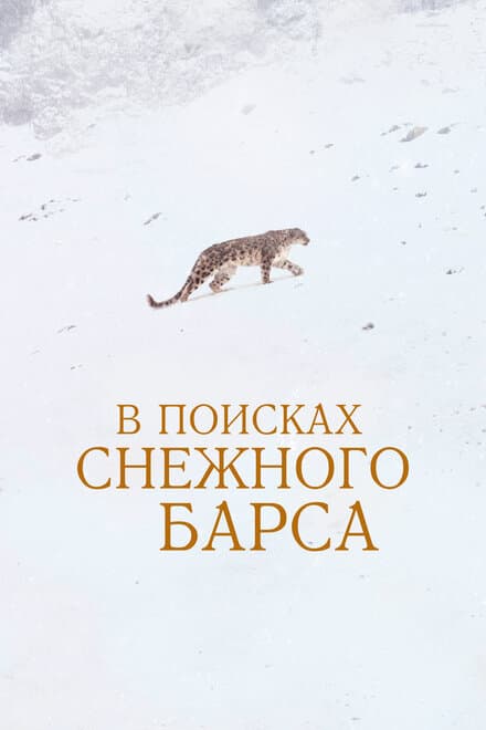 Постер к фильму В поисках снежного барса 2021