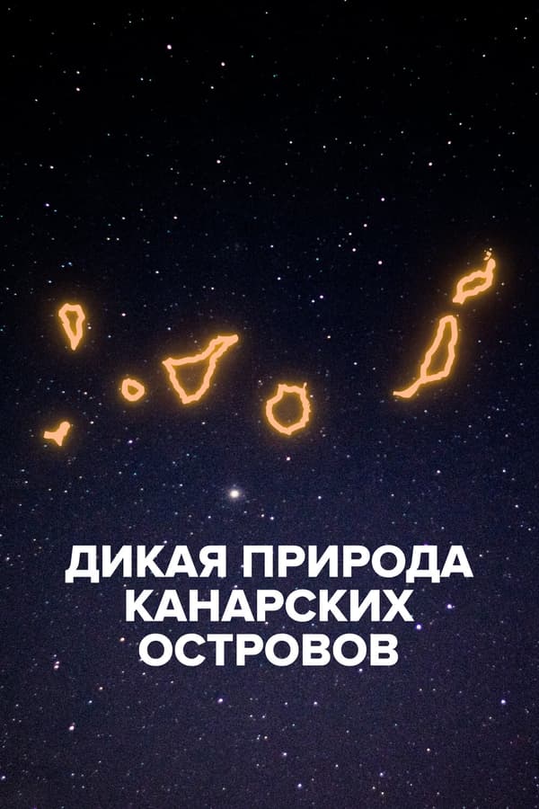 Постер к фильму Дикая природа Канарских островов 2021