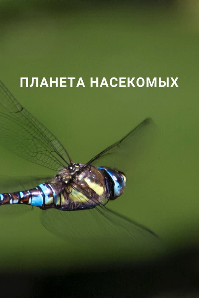 Постер к сериалу Планета насекомых 2022