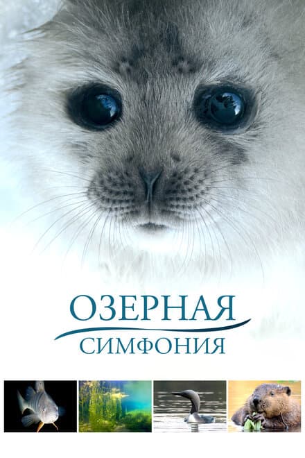 Постер к фильму Озерная симфония 2016