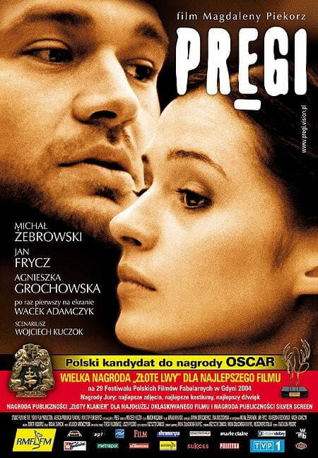 Постер к фильму Рубцы 2004