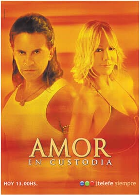 Постер к сериалу Телохранитель 2005