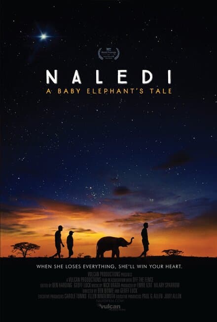 Постер к фильму Naledi: A Baby Elephant's Tale 2016