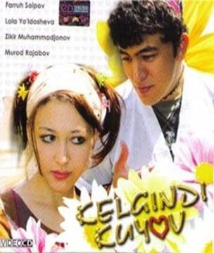 Постер к фильму Приезжий жених 2005