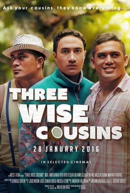 Постер к фильму Three Wise Cousins 2016