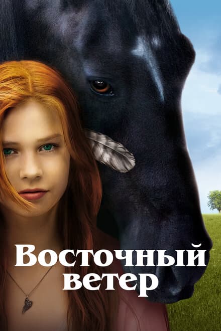 Постер к фильму Восточный ветер 2013