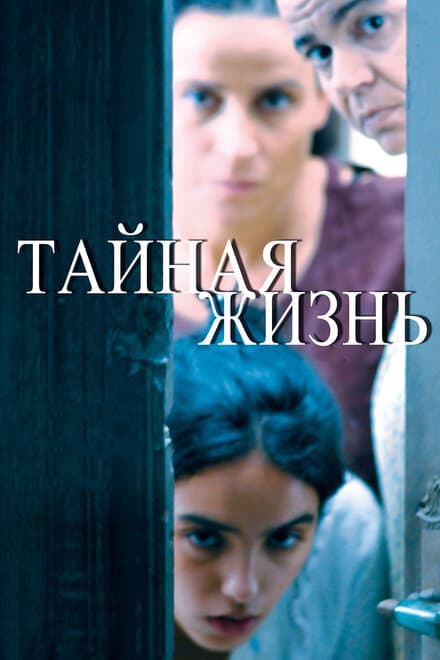 Постер к фильму Тайная жизнь 2009