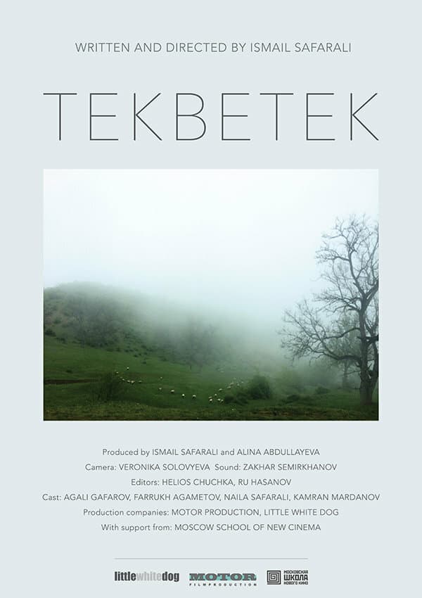 Постер к фильму Tekbetek 2014