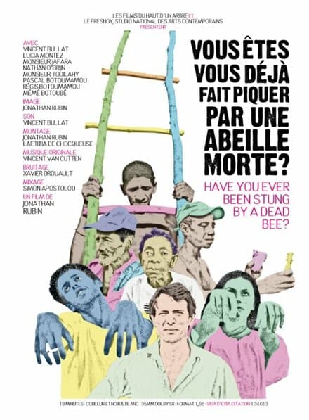 Постер к фильму Vous êtes-vous déjà fait piquer par une abeille morte? 2010