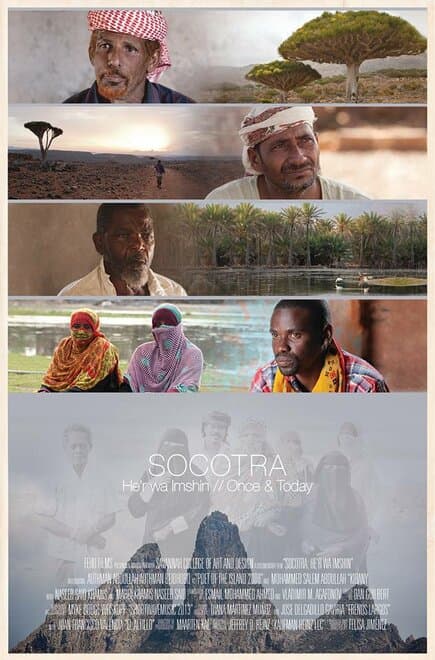 Постер к фильму Socotra: He'r wa Imshin 2014