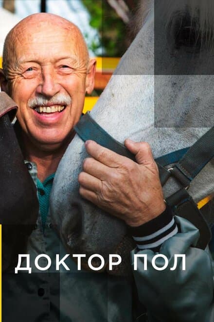 Постер к сериалу Доктор Пол 2011