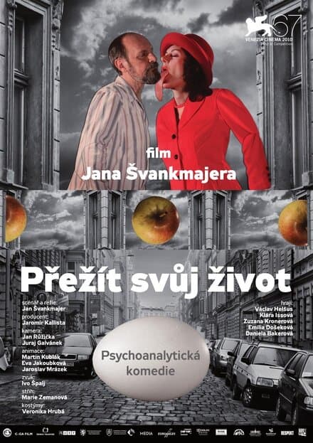 Постер к фильму Пережить свою жизнь 2010