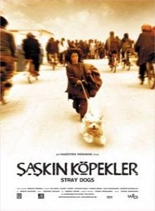 Постер к фильму Бродячие собаки 2004