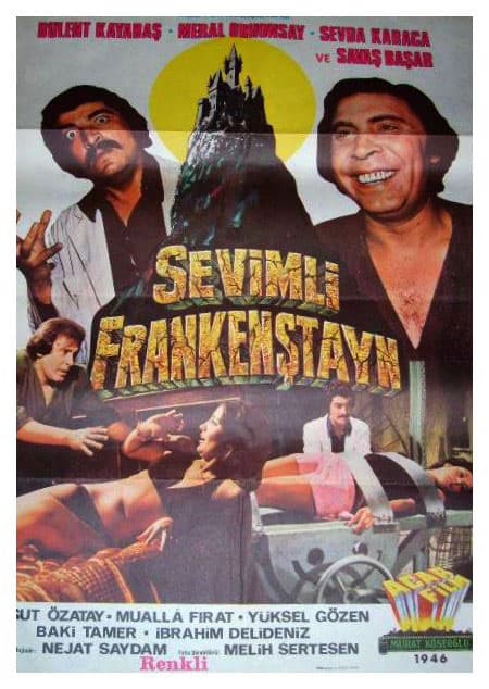 Постер к фильму Sevimli Frankenstayn 1975