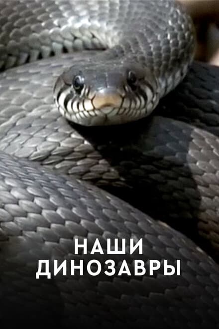 Постер к фильму Наши динозавры 2012