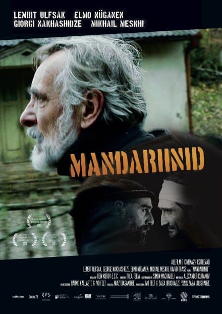 Постер к фильму Мандарины 2013