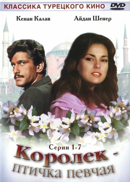 Постер к сериалу Королёк – птичка певчая 1986
