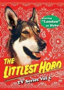 Постер к сериалу Маленький бродяга 1979