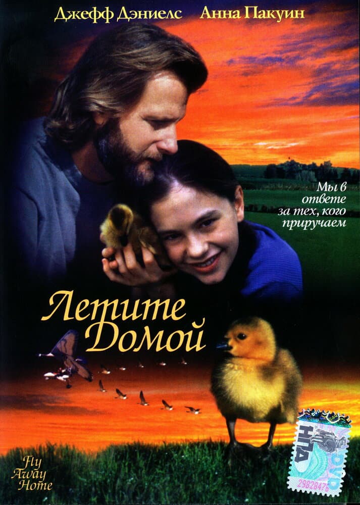 Постер к фильму Летите домой 1996