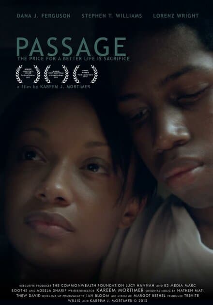 Постер к фильму Passage 2013