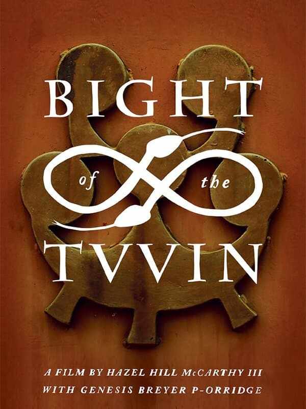 Постер к фильму Bight of the Twin 2016