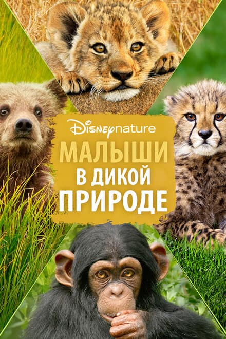 Постер к фильму Малыши в дикой природе 2015