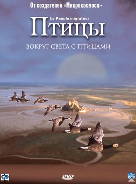 Постер к фильму Птицы 2001