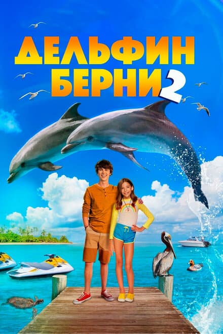 Постер к фильму Дельфин Берни 2 2019