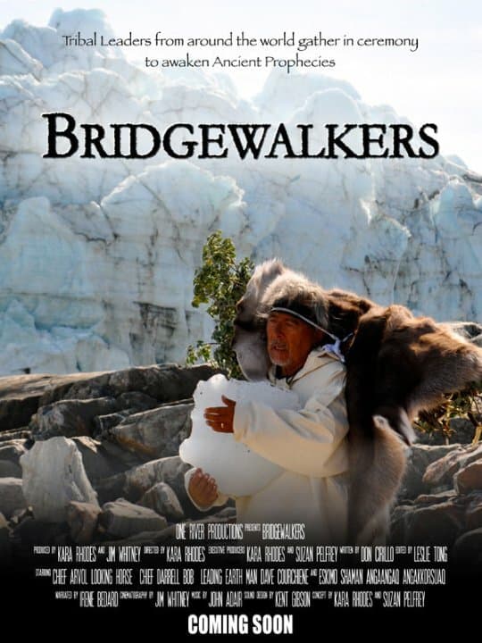 Постер к фильму Bridgewalkers 2013