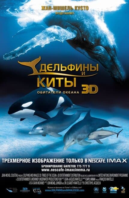 Постер к фильму Дельфины и киты 3D 2008