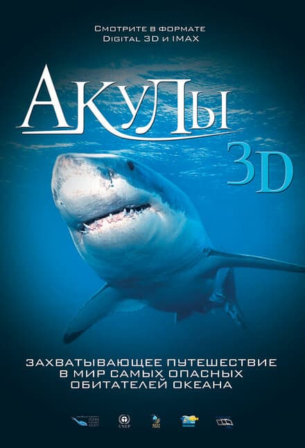 Постер к фильму Акулы 3D 2004