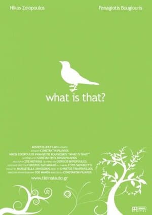Постер к фильму Что это? 2007