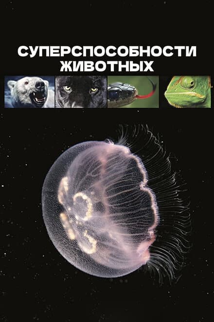 Постер к сериалу Суперспособности животных 2015
