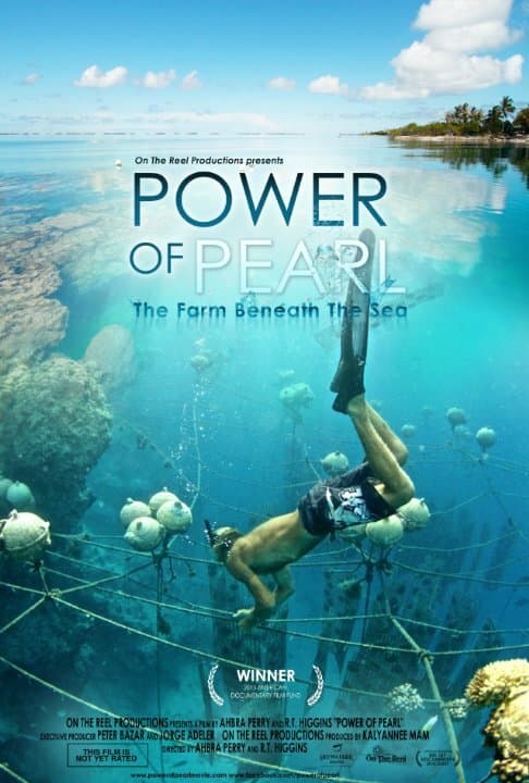 Постер к фильму Power of Pearl 2017