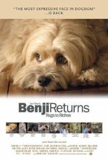 Постер к фильму Возвращение Бенджи 2004