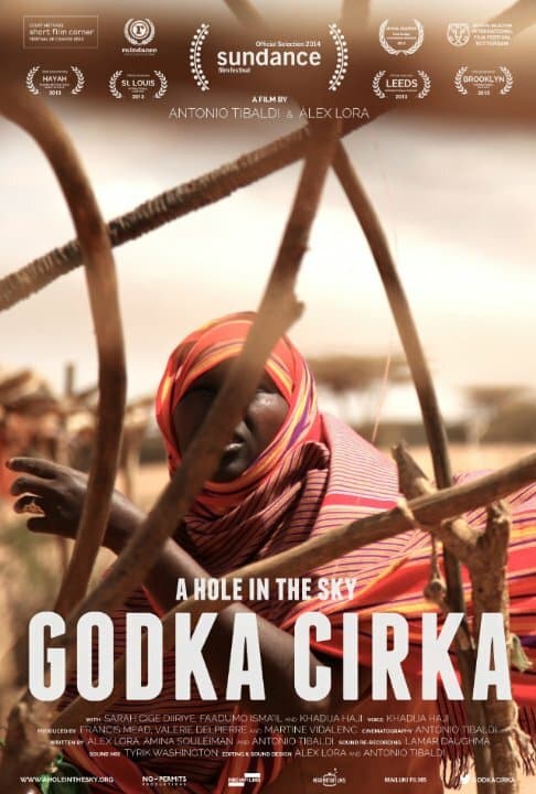 Постер к фильму Godka cirka 2013
