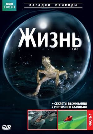 Постер к сериалу BBC: Жизнь 2009