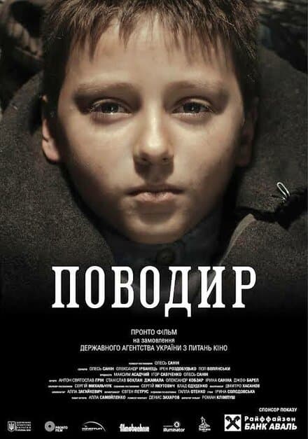 Постер к фильму Поводырь 2013