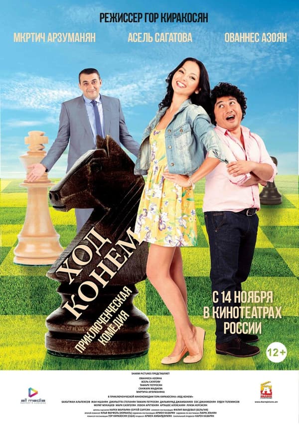 Постер к фильму Ход конём 2013