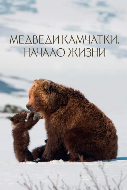 Постер к фильму Медведи Камчатки. Начало жизни 2018