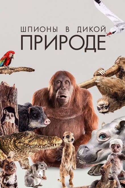 Постер к сериалу Шпионы в дикой природе 2017