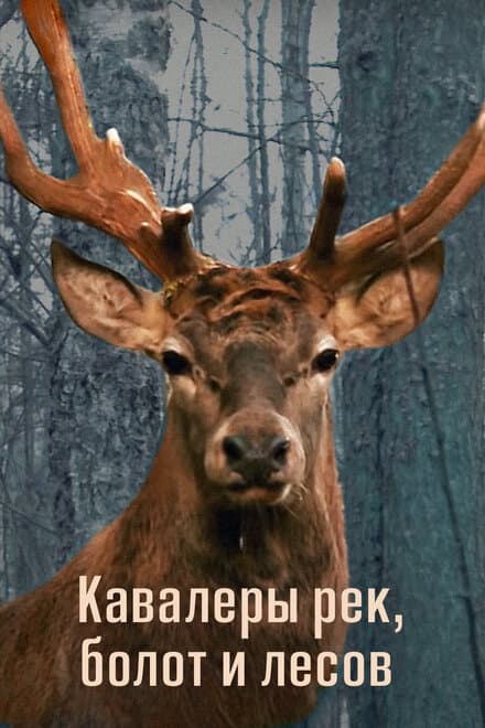 Постер к фильму Кавалеры рек, болот и лесов 2012