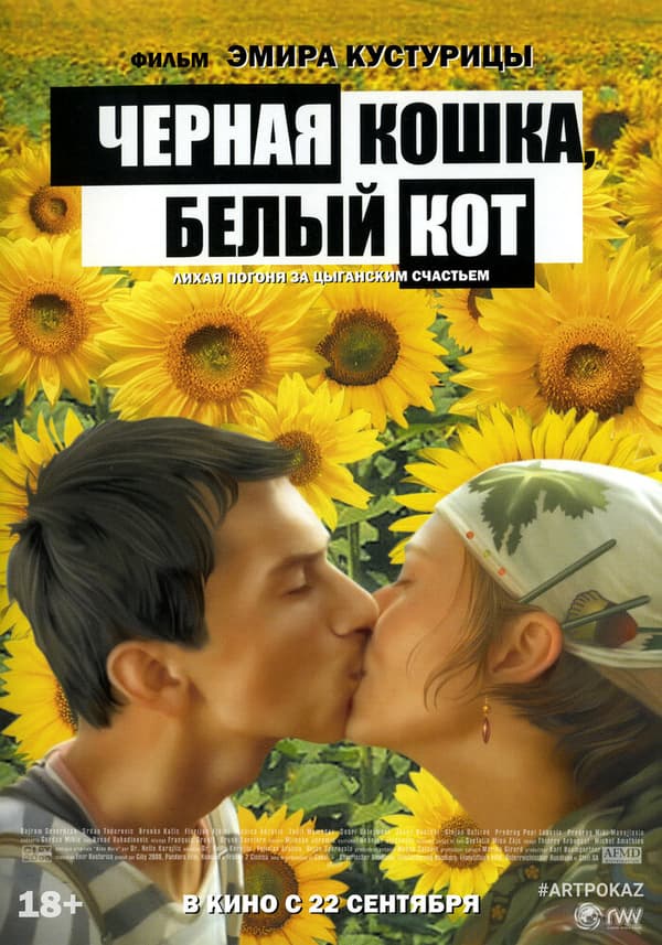 Постер к фильму Черная кошка, белый кот 1998
