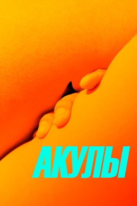 Постер к фильму Акулы 2019