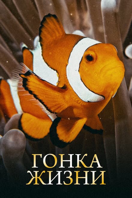 Постер к сериалу Гонка жизни 2015