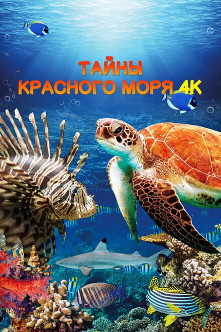 Постер к фильму Тайны Красного моря 2016