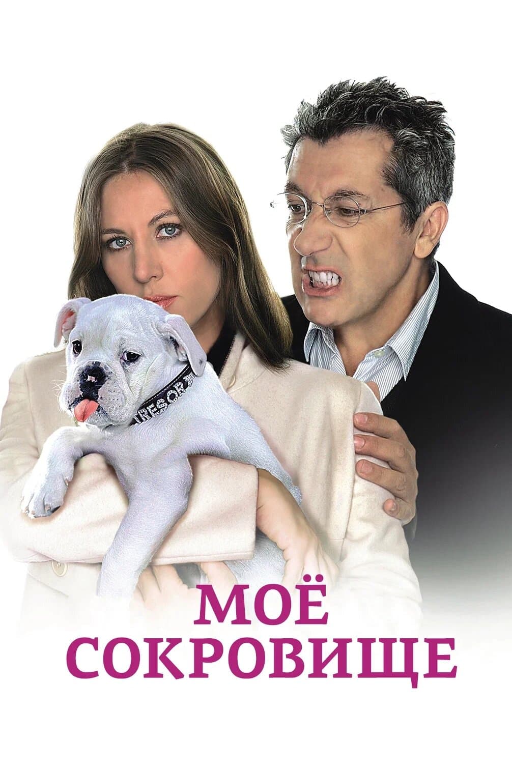 Постер к фильму Моё сокровище 2009