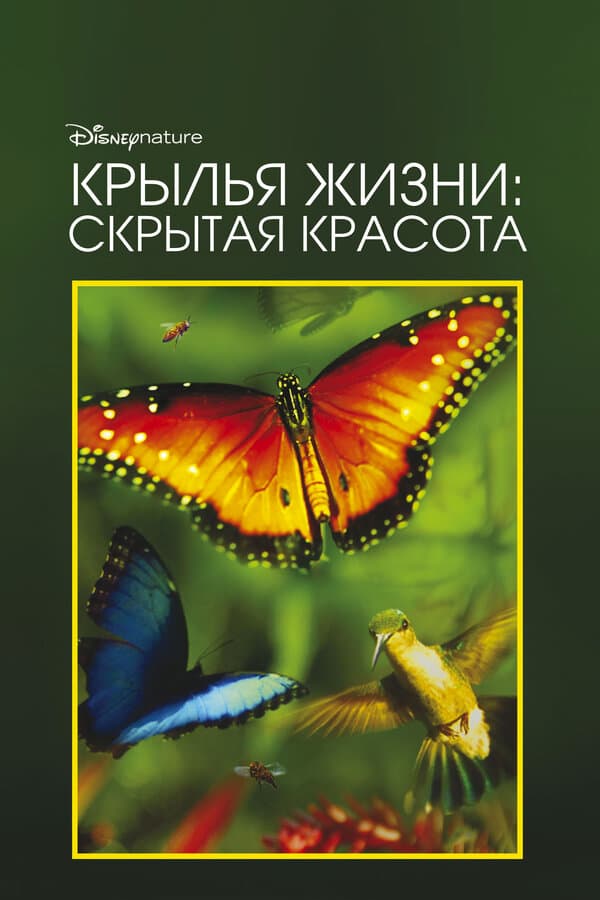 Постер к фильму Крылья жизни: Скрытая красота 2011