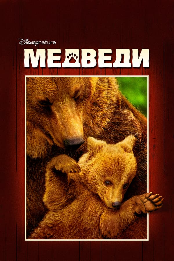 Постер к фильму Медведи 2014