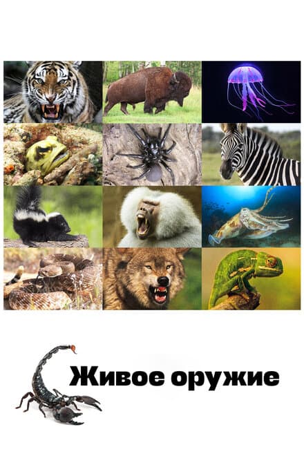 Постер к сериалу Живое оружие 2016